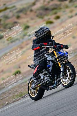 media/Apr-26-2025-2WTD (Sat) [[797c348bd3]]/C Group/240pm/